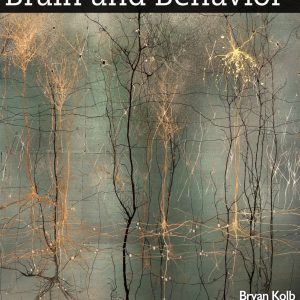 An Introduction to Brain and Behavior 7th Edition