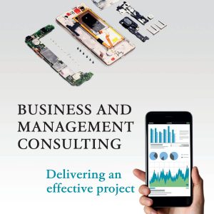 Business and Management Consulting Delivering an Effective Project 6th Edition