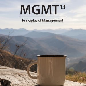 MGMT 13th Edition
