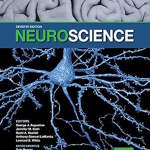 Neuroscience 7th Edition