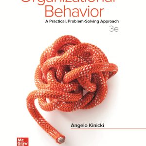 Organizational Behavior A Practical, Problem-Solving Approach 3rd Edition